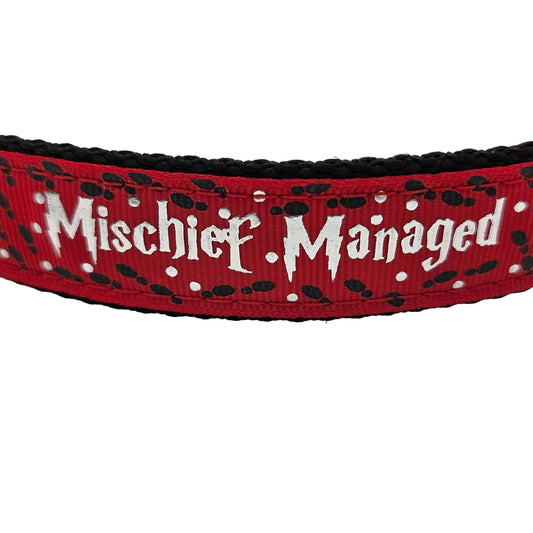 Mischief Managed Red, Blue, or Green Dog Collar - 1 inch