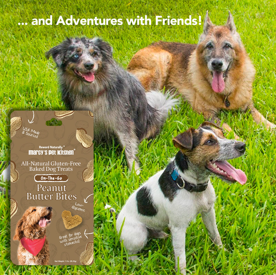 Marcy's Pet Kitchen® - 'On-The-Go' All-Natural, Vegan Peanut Butter Biscuit