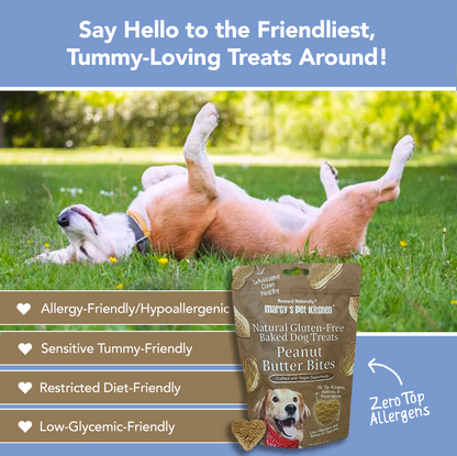 All-Natural Peanut Butter Dog Treats - Homemade-All Natural Dog Treats for Digestive Help - Gluten Free Healthy Human Grade Dog Biscuits for Sensitive Stomachs- USA Made