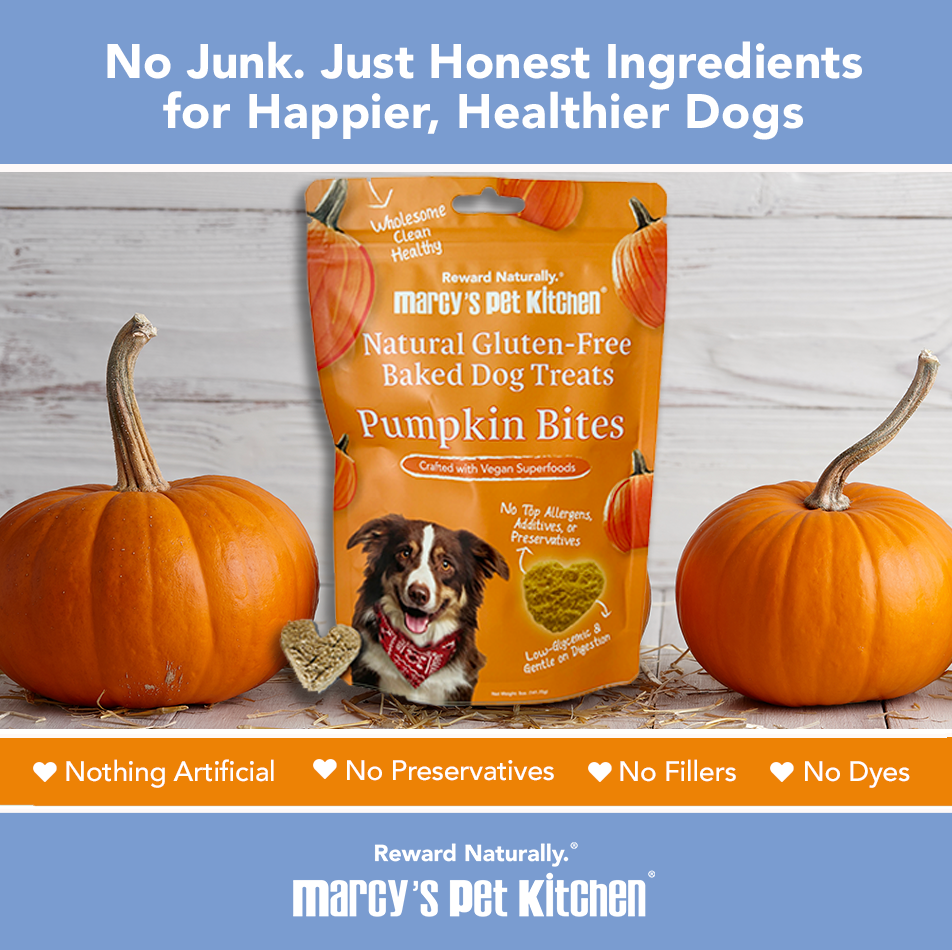 Marcy's Pet Kitchen- All Natural, Vegan Pumpkin Biscuit Dog Treats - Homemade-Vet Approved- Vegan, Gluten Free, Human Grade Ingredients, Made in The USA, Healthy Pumpkin Dog Treats