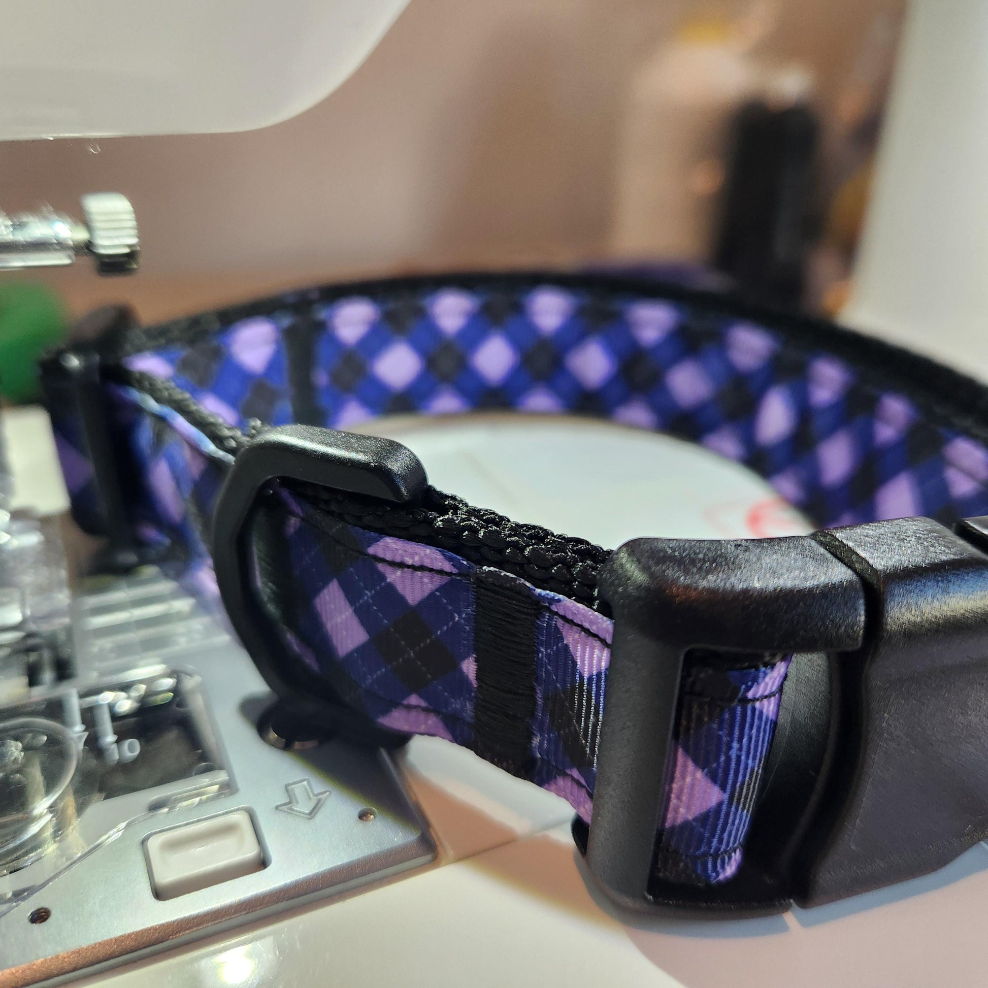 What a Fox dog collar 1 inch