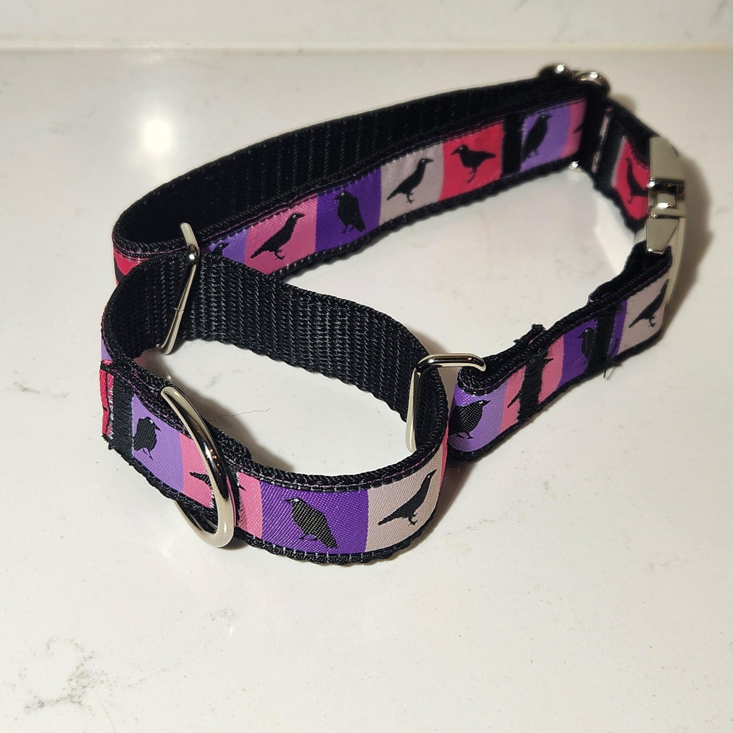 1 inch Rainbow Paws dog collar, Made to order (All sizes available)