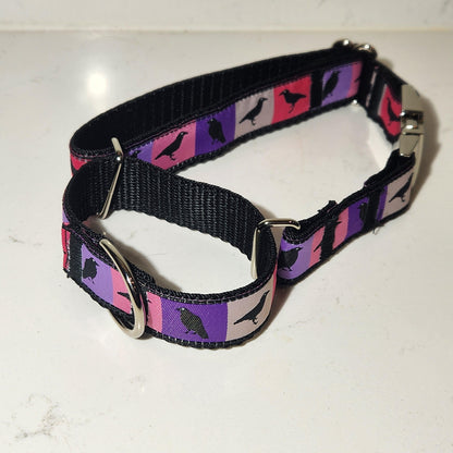 1 inch Rainbow Paws dog collar, Made to order (All sizes available)