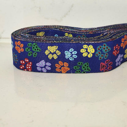 1 inch Rainbow Paws dog collar, Made to order (All sizes available)