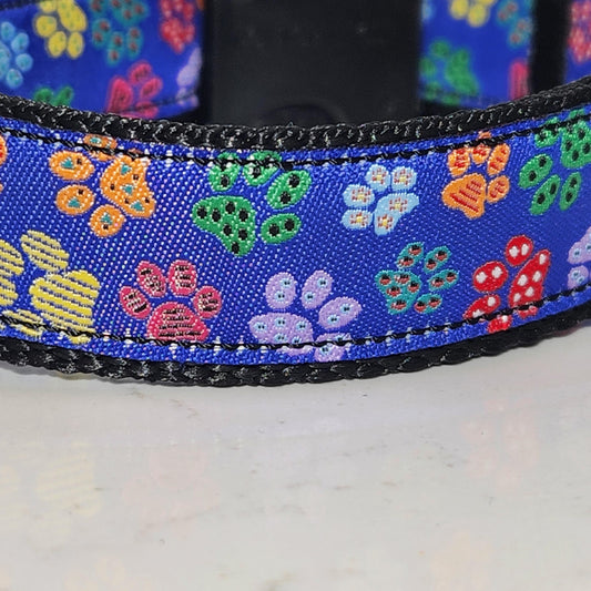 1 inch Rainbow Paws dog collar, Made to order (All sizes available)