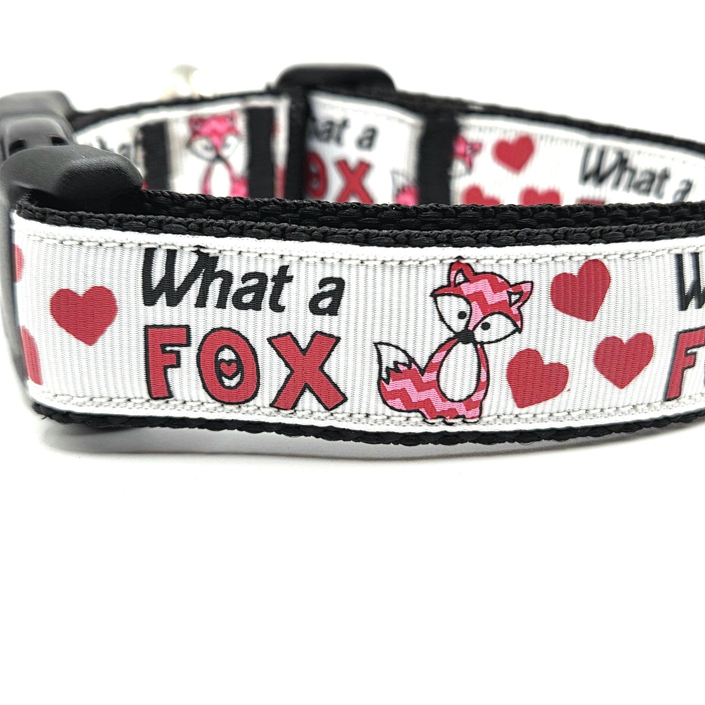 What a Fox dog collar 1 inch