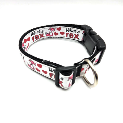 What a Fox dog collar 1 inch