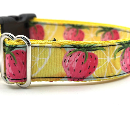 Strawberry Lemonade Dog Collar | Yellow Summer Fruit Print | 13"–22"