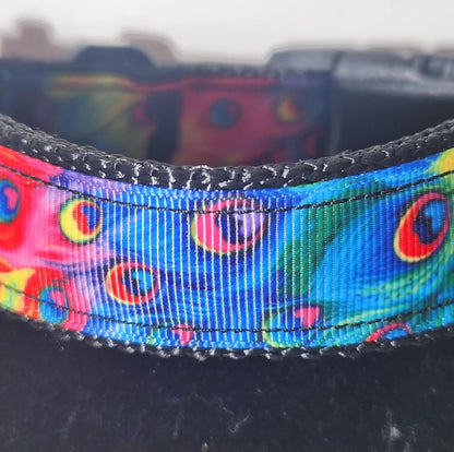 Vibrant Peacock Dog Collar – Large (13-22")