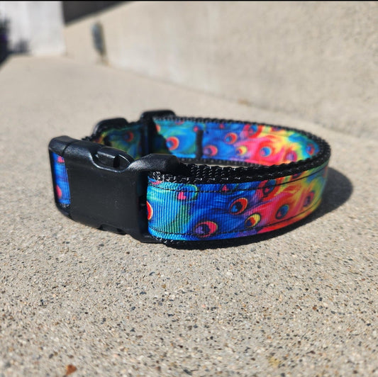 Vibrant Peacock Dog Collar – Large (13-22")
