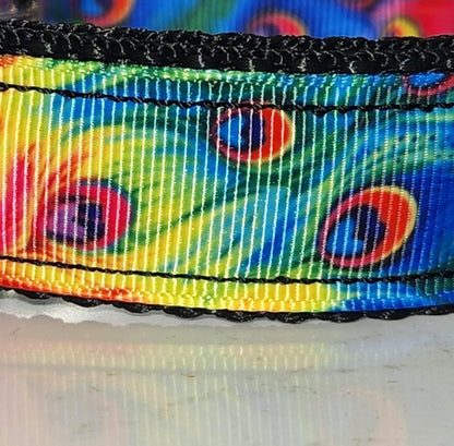 Vibrant Peacock Dog Collar – Large (13-22")