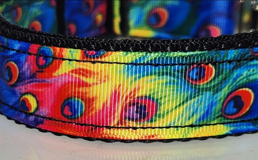Vibrant Peacock Dog Collar – Large (13-22")