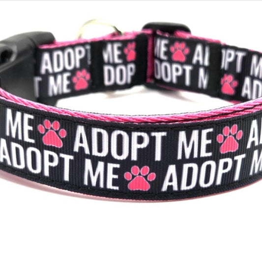Adopt Me Dog Collar –1 inch wide