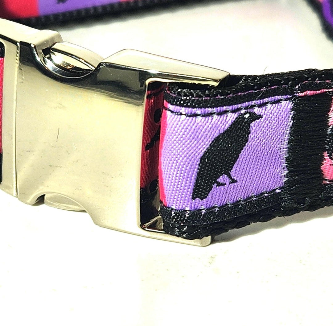 Pastel ravens dog collar 1 inch