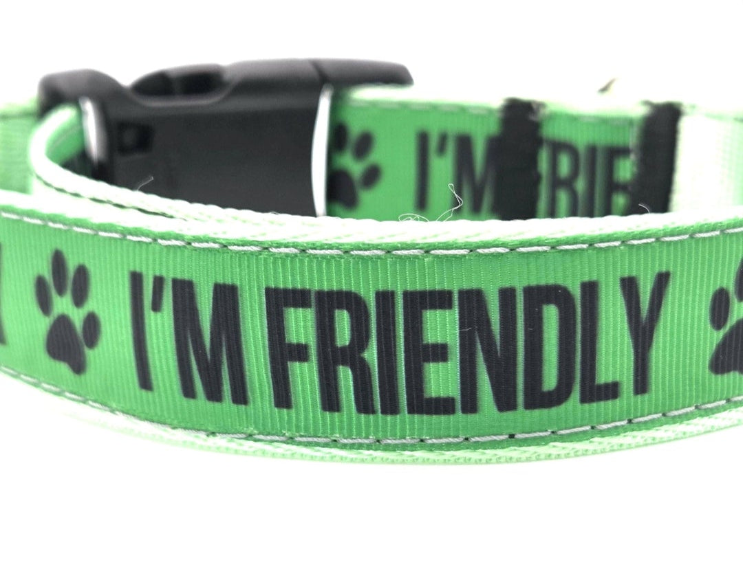 I'M FRIENDLY Dog Collar | Green Social Pet Gear, 14-21.5 Inches