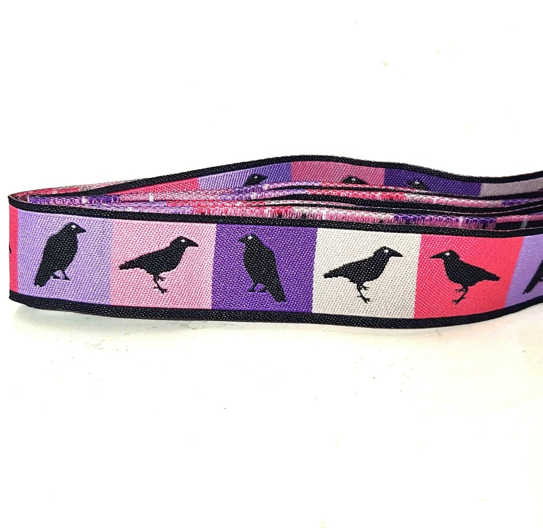 Pastel ravens dog collar 1 inch