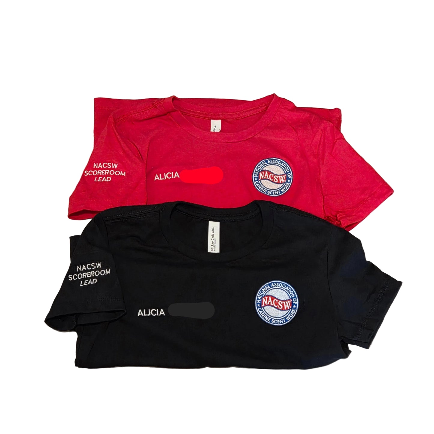 Custom Embroidered NACSW logo T-Shirt