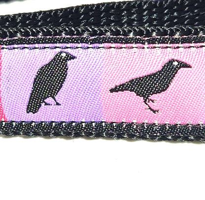 Pastel ravens dog collar 1 inch
